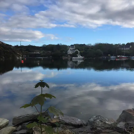 Harbour Tiny House Chalet *